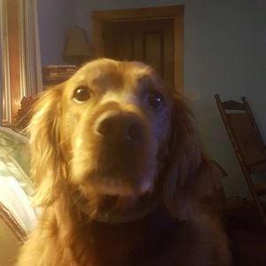 Meet your Posher, Gary